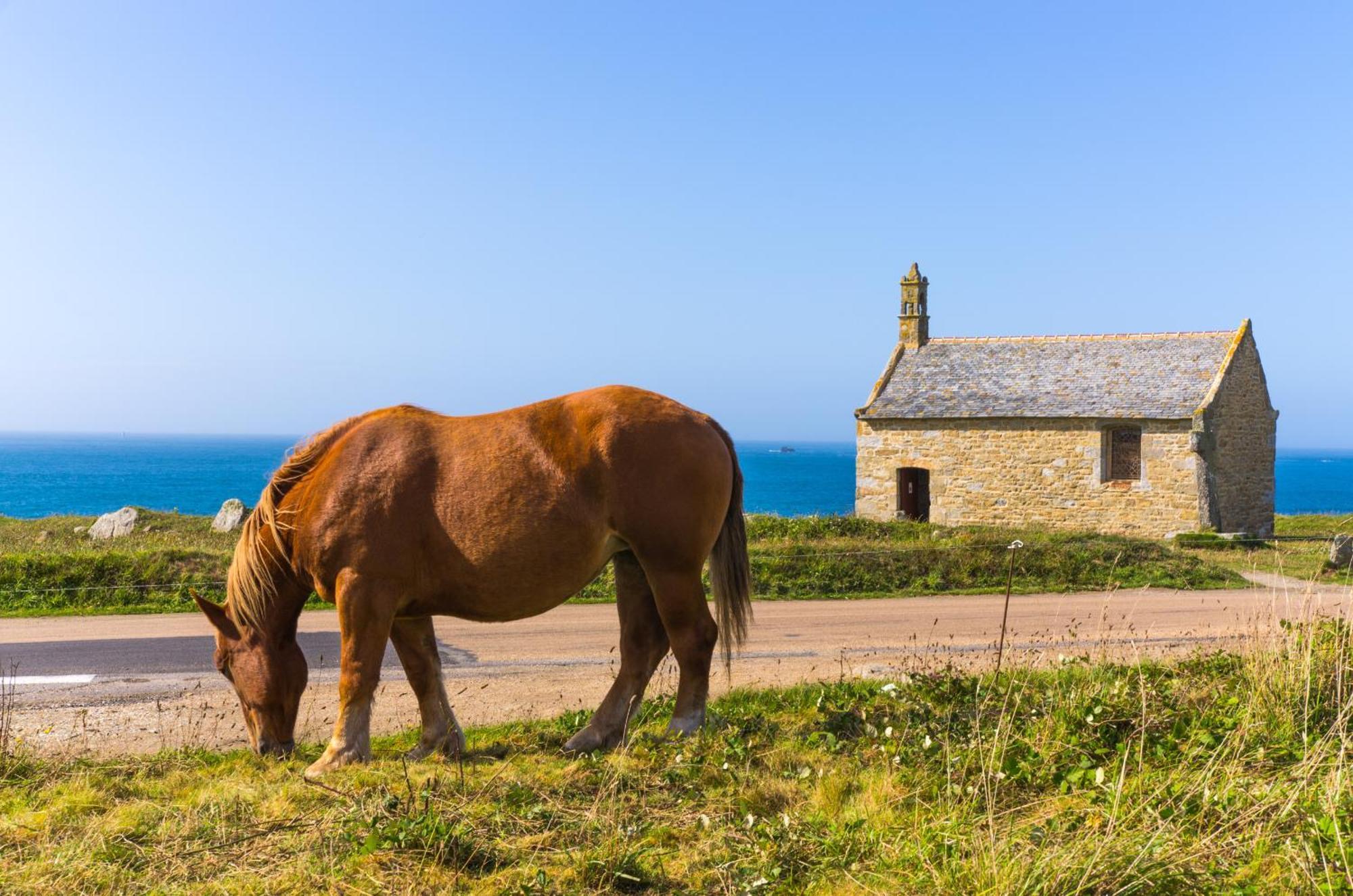 Gwel Ar Mor - Jolie Maison De Charme Renovee Proche Du Port Lanildut Exteriér fotografie